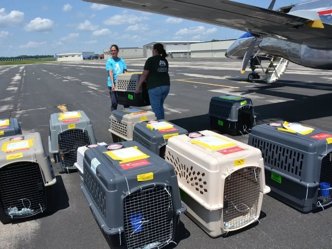 WhatsApp Image 2026-02-28 at 8.58.10 AM (1)